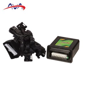 امولاتور یک در ده پژویی، پیکانی